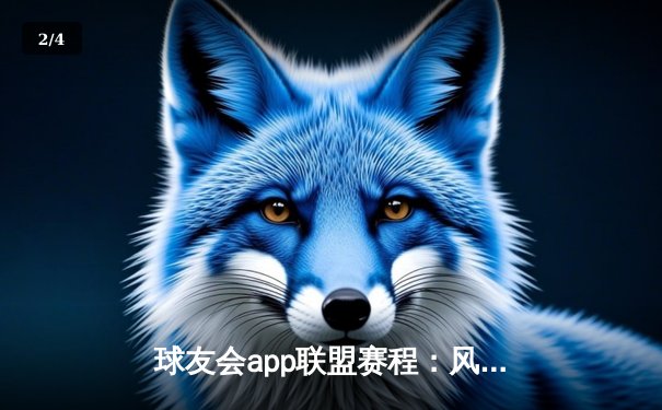 球友会app联盟赛程：风暴队逆袭夺冠，张伟三分绝杀惊艳全场 - 2